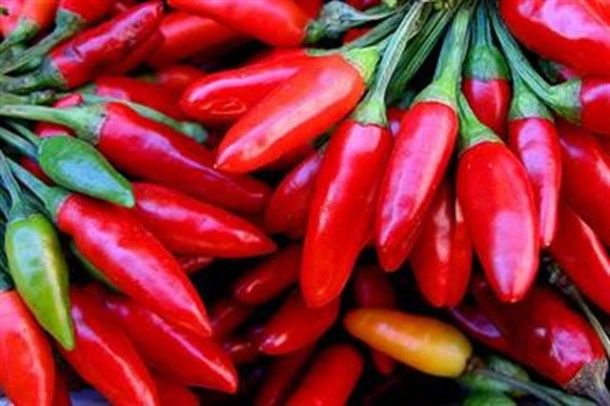Alt="vorrei italian red hot chilli peppers"