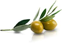 olives