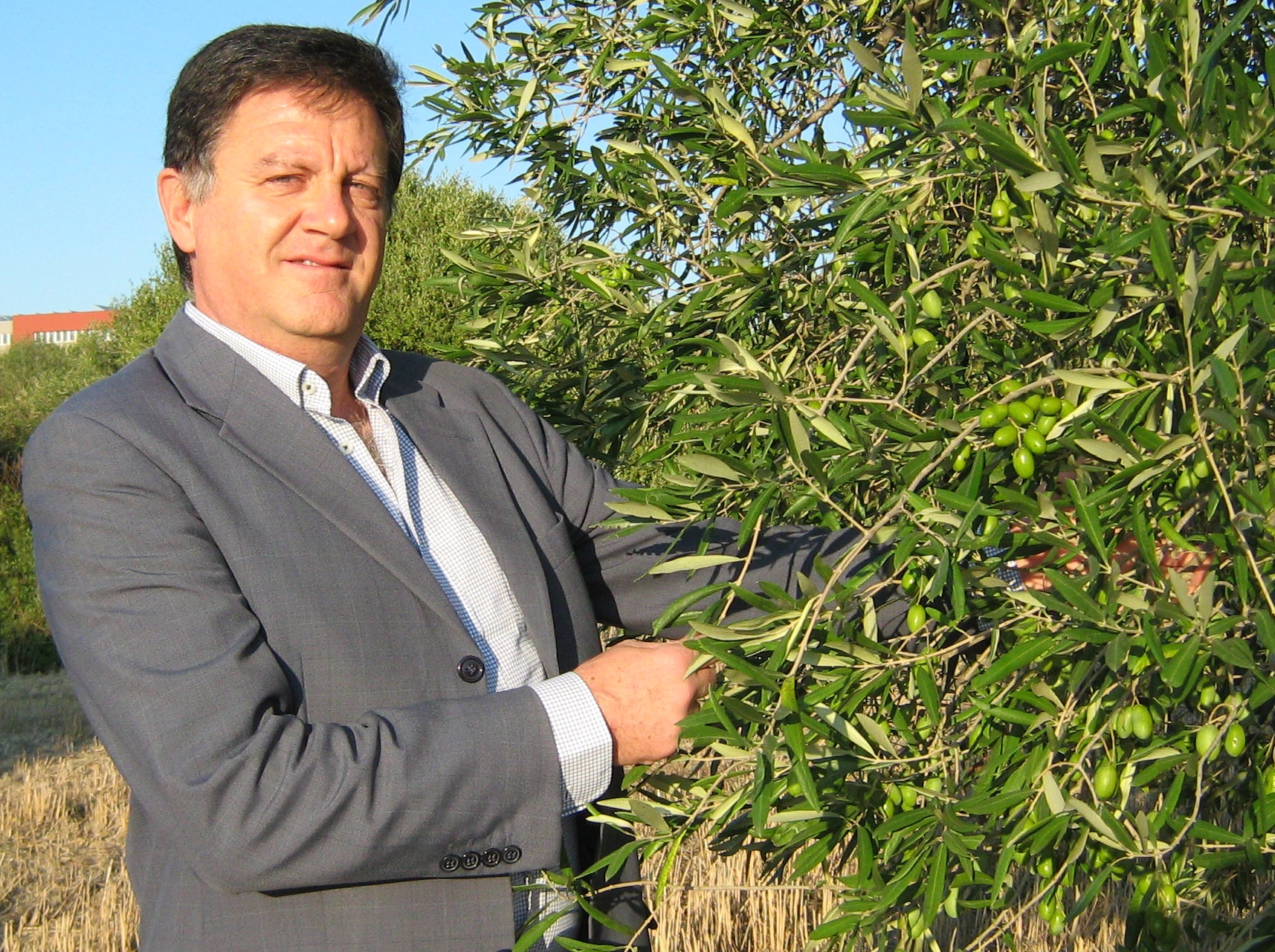 Meet Giovanni Marvulli, our organic extra virgin olive oil supplier.