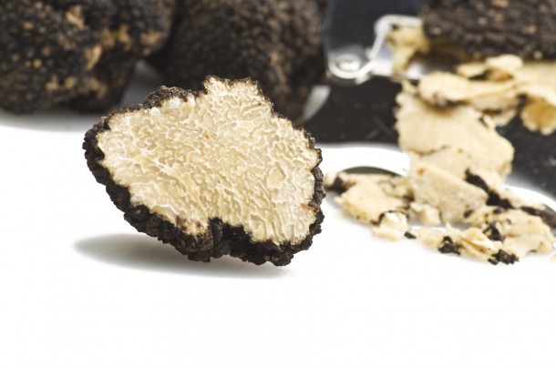 Alt="vorrei italian fresh truffles"