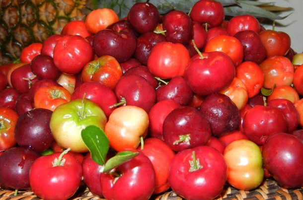 Alt="vorrei italian superfoods acerola cherry"