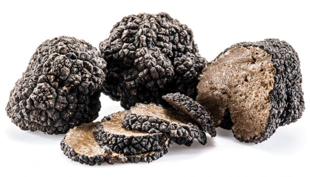 Alt="Vorrei italian black summer truffles"