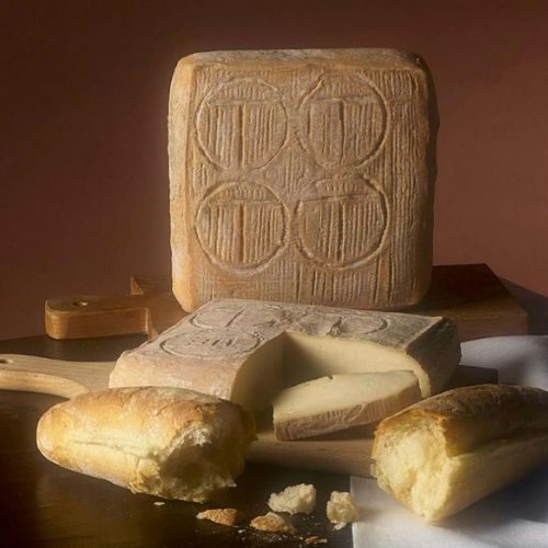 Italian Taleggio cheese